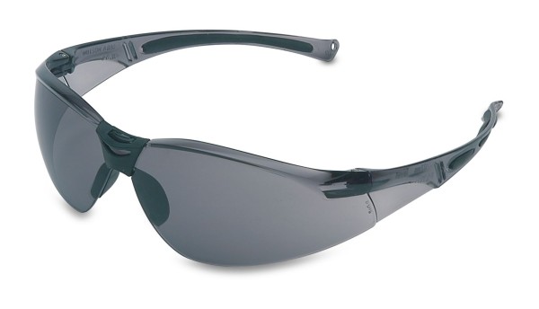Schutzbrille "A800" Scheibe grau