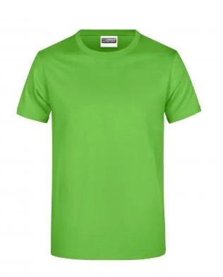 James & Nicholson, Promo-T-Shirt Man 180, lime-green